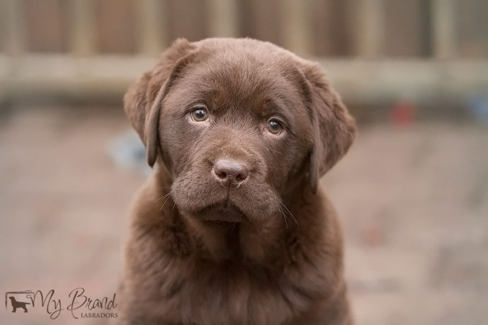 My Brand Zillion Kisses as a baby