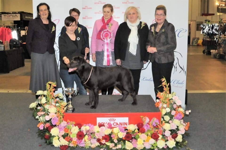 My Brand Zillion Kisses as a BEST IN SHOW Puppy on 23.4.2017
