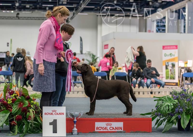 My Brand Zillion Kisses - best in group!