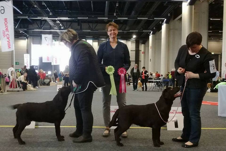 My Brand Zillion Kisses - BOB,   Adventurer's On A Clear Day U Can C Forever - BOS