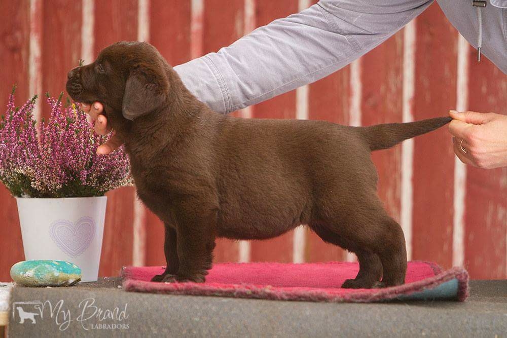 My Brand Zillion Kisses as a baby