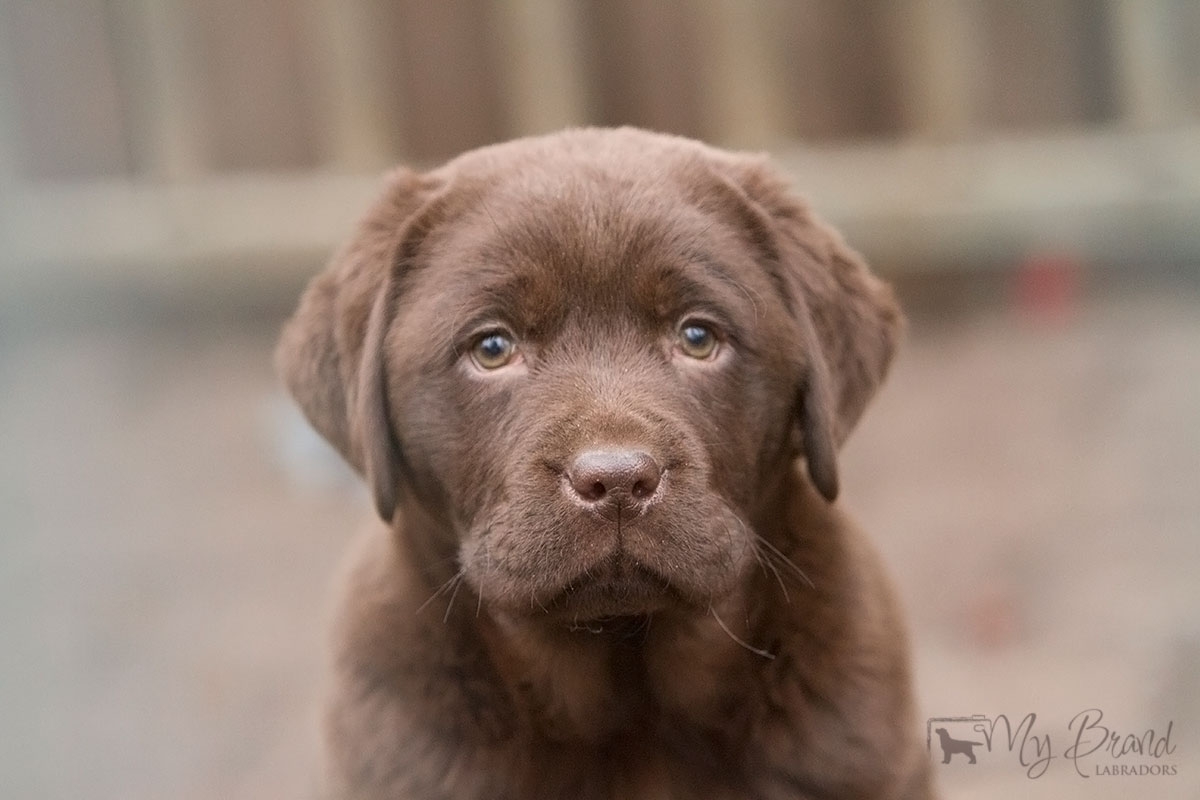 My Brand Zillion Kisses as a baby