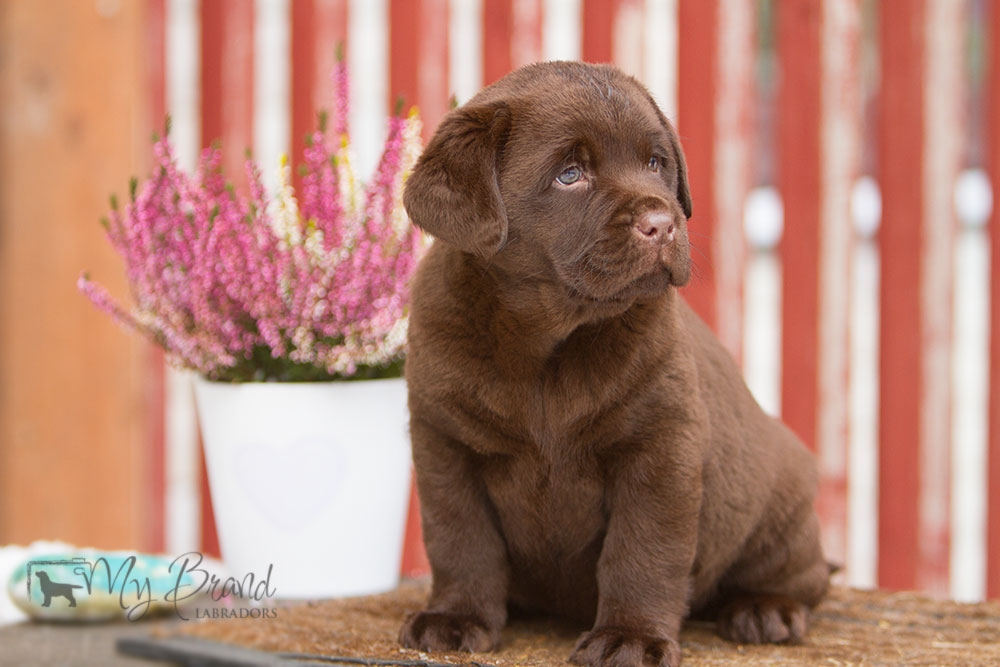 My Brand Zillion Kisses as a baby