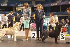 My Brand Zillion Kisses in Tallinn