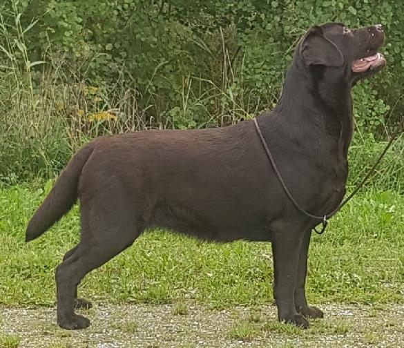 My Brand Zillion Kisses