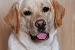 Elsa-oktoober-2019-01