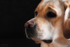 Elsa-oktoober-2019-02