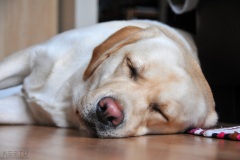 Elsa-oktoober-2019-03