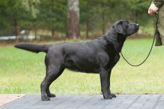 Pia-Pearl Diamond Heap-Caff