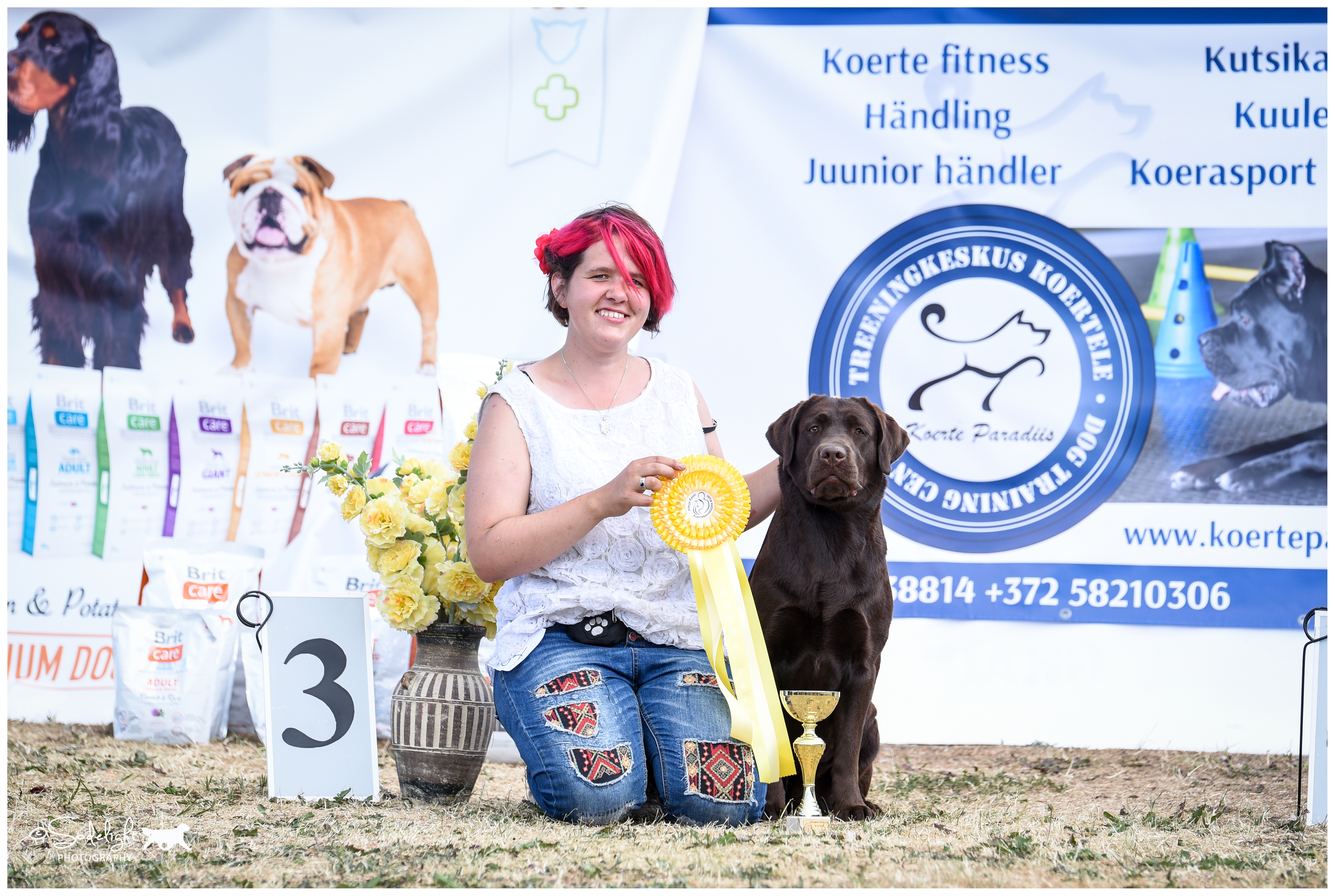 Royal Brown I Love Your Smile BOS Junior & BB2 on Saturday 16.6.2018 National show in Luige, BOB Junior, BB1, BOB & Group 3rd on Sunday 17.6.2018 National Dog Show in Luige,  finished her EST JCH title just with 5 shows ever. Thank you, Maarja Kalma, for showing her the last weekend and achieving all this! Picture by Kadi Haljand.