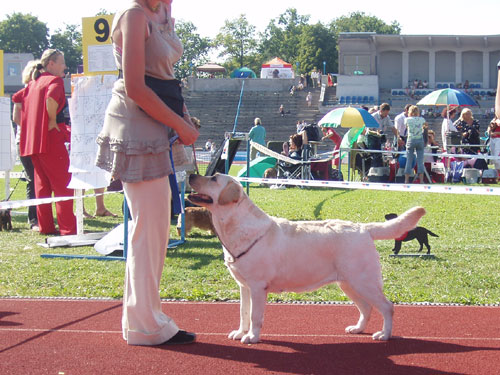 Eliza BOB at Specialty 2006