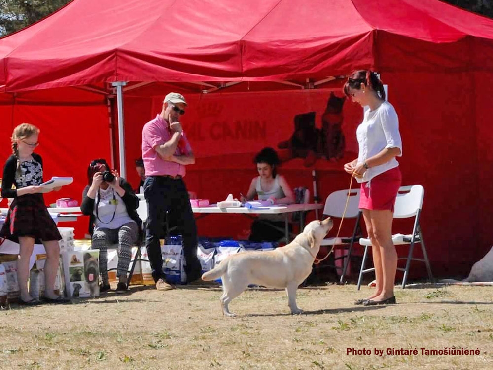 arctic-sky-aquarelle