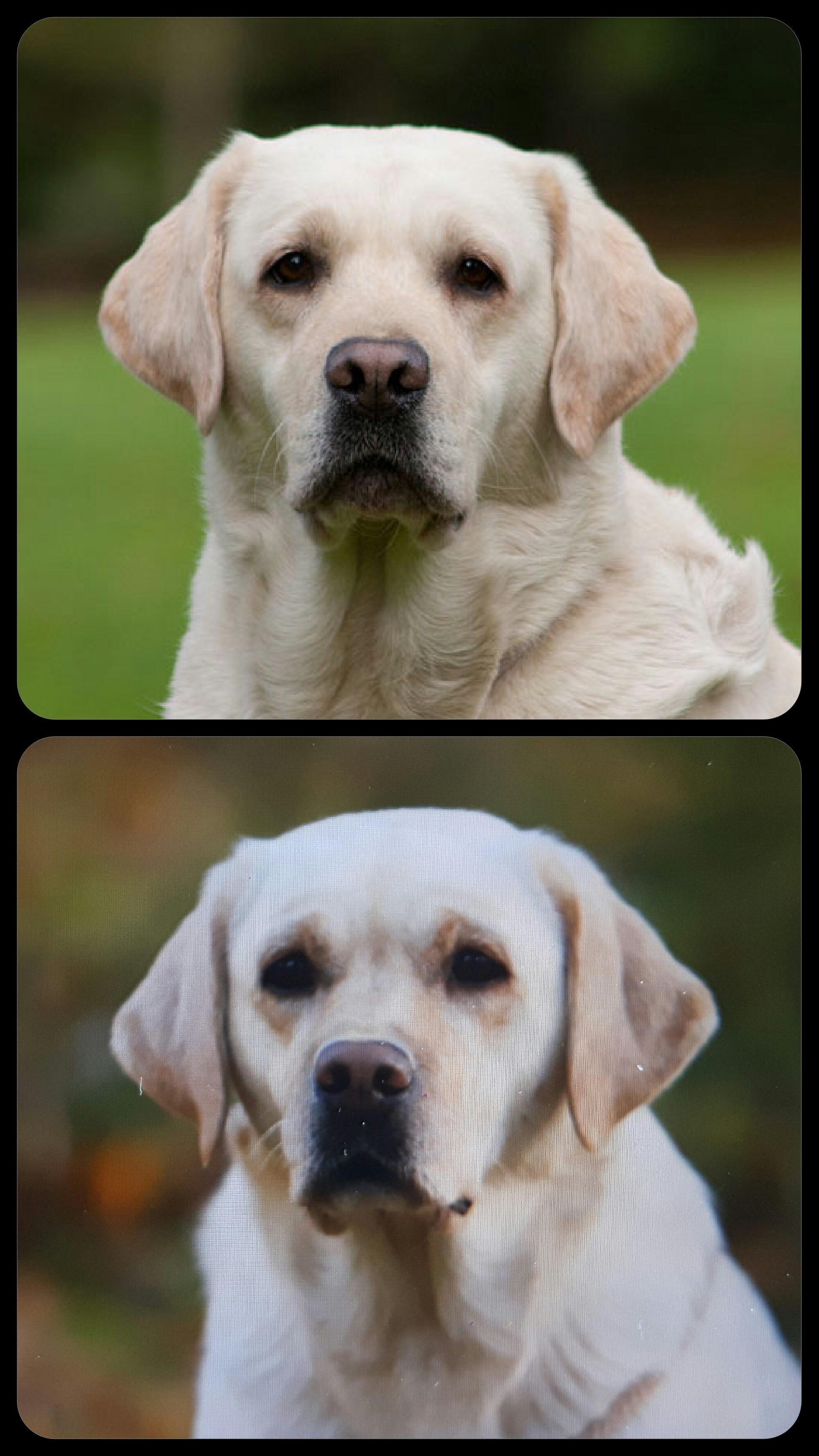 tmp_20773-20161104_140933-1528164705