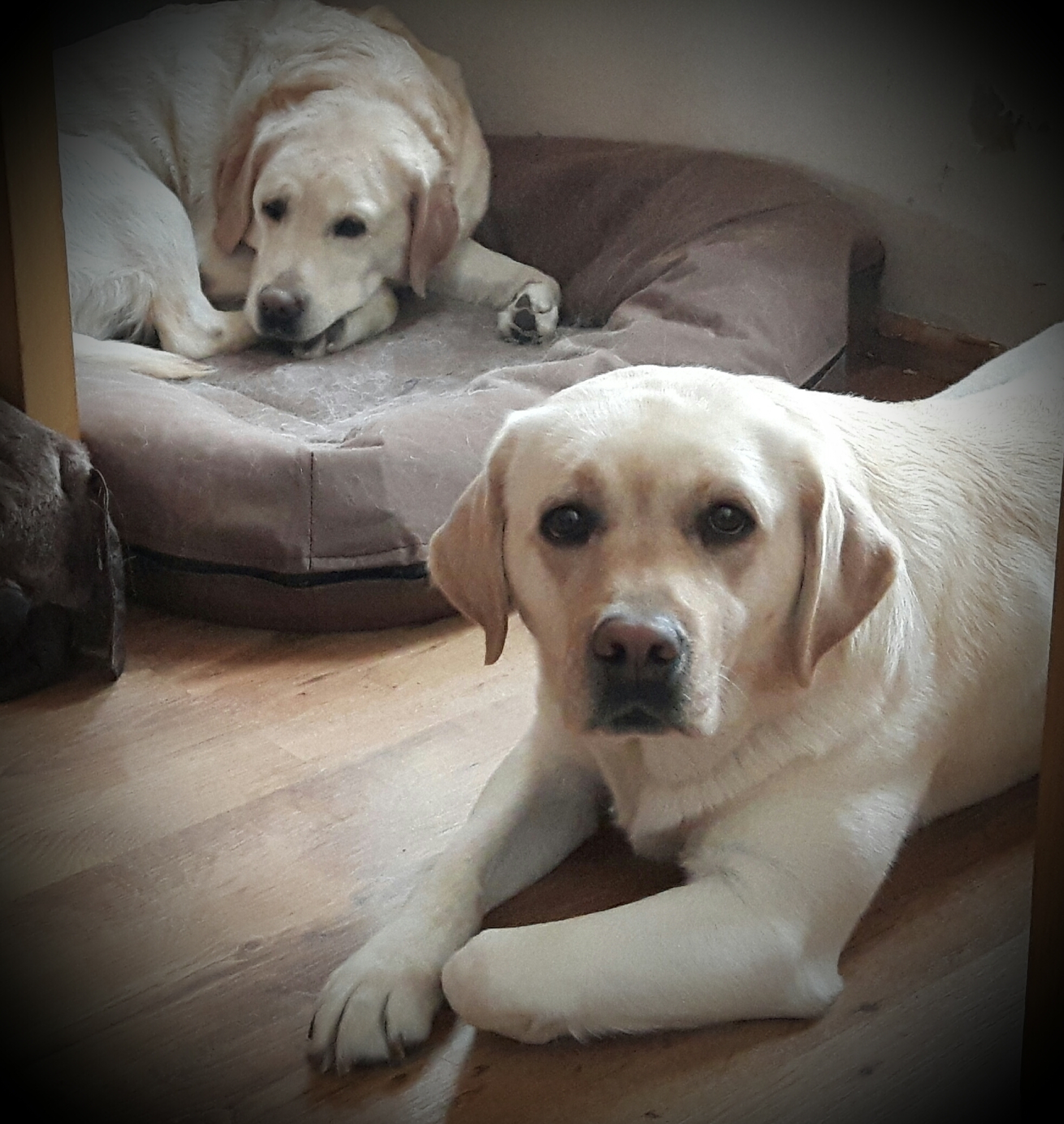 tmp_20773-20161107_223251819493840