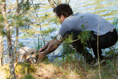 Astonishing Aquarelle \"Pepe\"