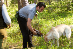 Astonishing Aquarelle \"Pepe\"