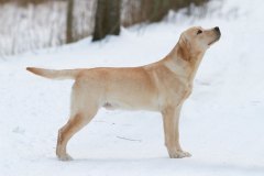 Astonishing Aquarelle at the age of 8 months