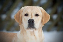 Astonishing Aquarelle at the age of 8 months