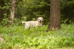 Astonishing Aquarelle at the age of 13 months