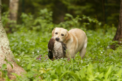 Astonishing Aquarelle at the age of 13 months