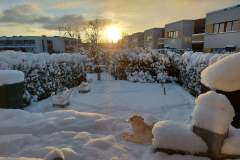 Cheya's Nights In White Satin