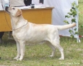 dolly_july04