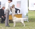 dolly_ventspils1