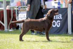 Double Mocha Aquarelle “Mocca” at the Estonian Winner 2022 show. Photo by Pille-Riin Sepp.
