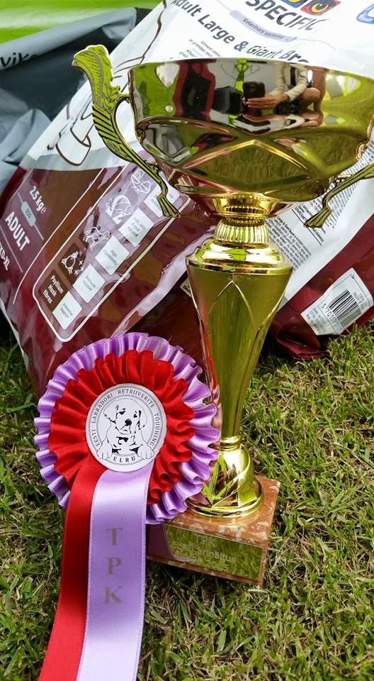 Lucca was BIS Puppy at the Group Specialty