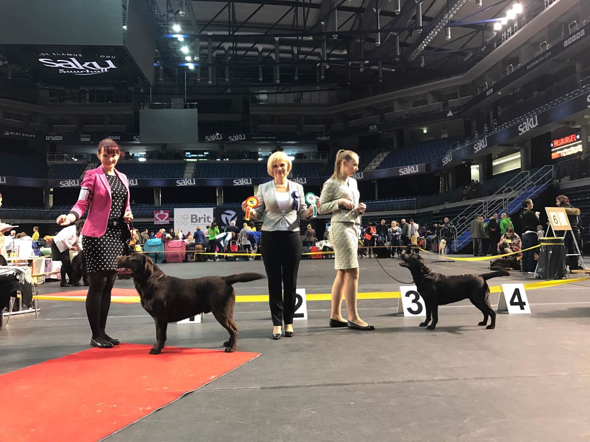 Lucca BOB Tallinn 12.3.2017, photo by Liina Kippasto, thank you!