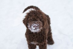 Il Granaio Dei Malatesta Francesco Guccini