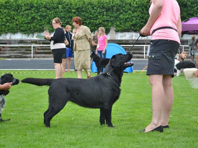 Lulaby Baby Malmesbury Optimus Canis in the Junior Class
