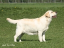 eliza BEST IN SHOW
