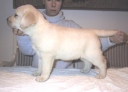 6 weeks old Eliza