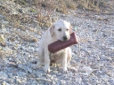 She won't put it down even in this kind of circumstances