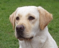 eliza, May 2005
