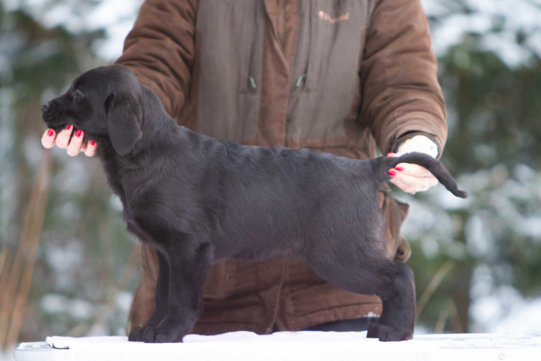 My Brand All Jazzed Up