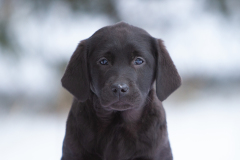 My Brand All Jazzed Up 