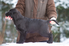 My Brand All Jazzed Up 