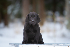 My Brand All Jazzed Up 