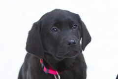 My Brand All Jazzed Up 