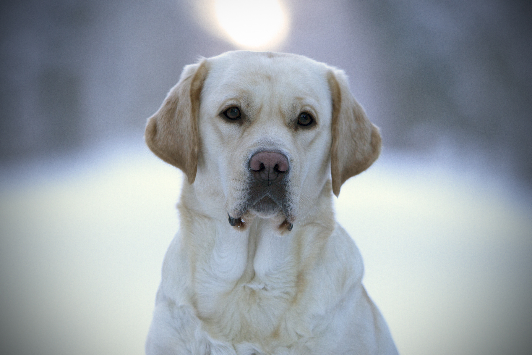 My Brand All That Jazz