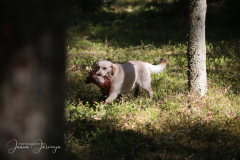 My Brand All That Jazz 'Amy' 