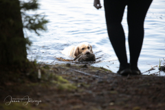 My Brand All That Jazz \'Amy\'