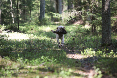 My Brand All That Jazz 'Amy'