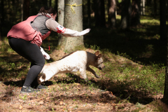 My Brand All That Jazz 'Amy'