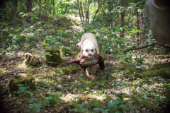 My Brand All That Jazz 'Amy'