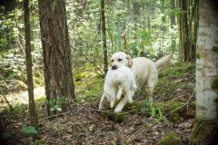 My Brand All That Jazz 'Amy'