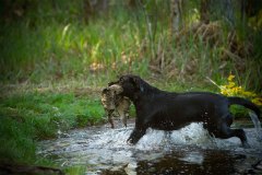 My Brand Catch Me If You Can