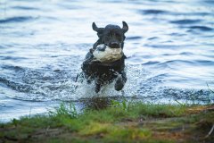 My Brand Catch Me If You Can